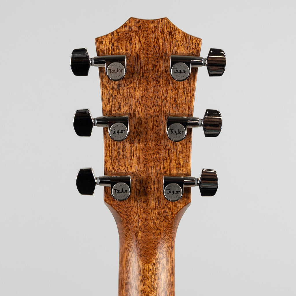 Taylor 514ce, Next Generation