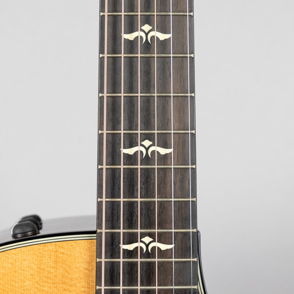 Taylor 614ce V-Class Bracing (Demo)