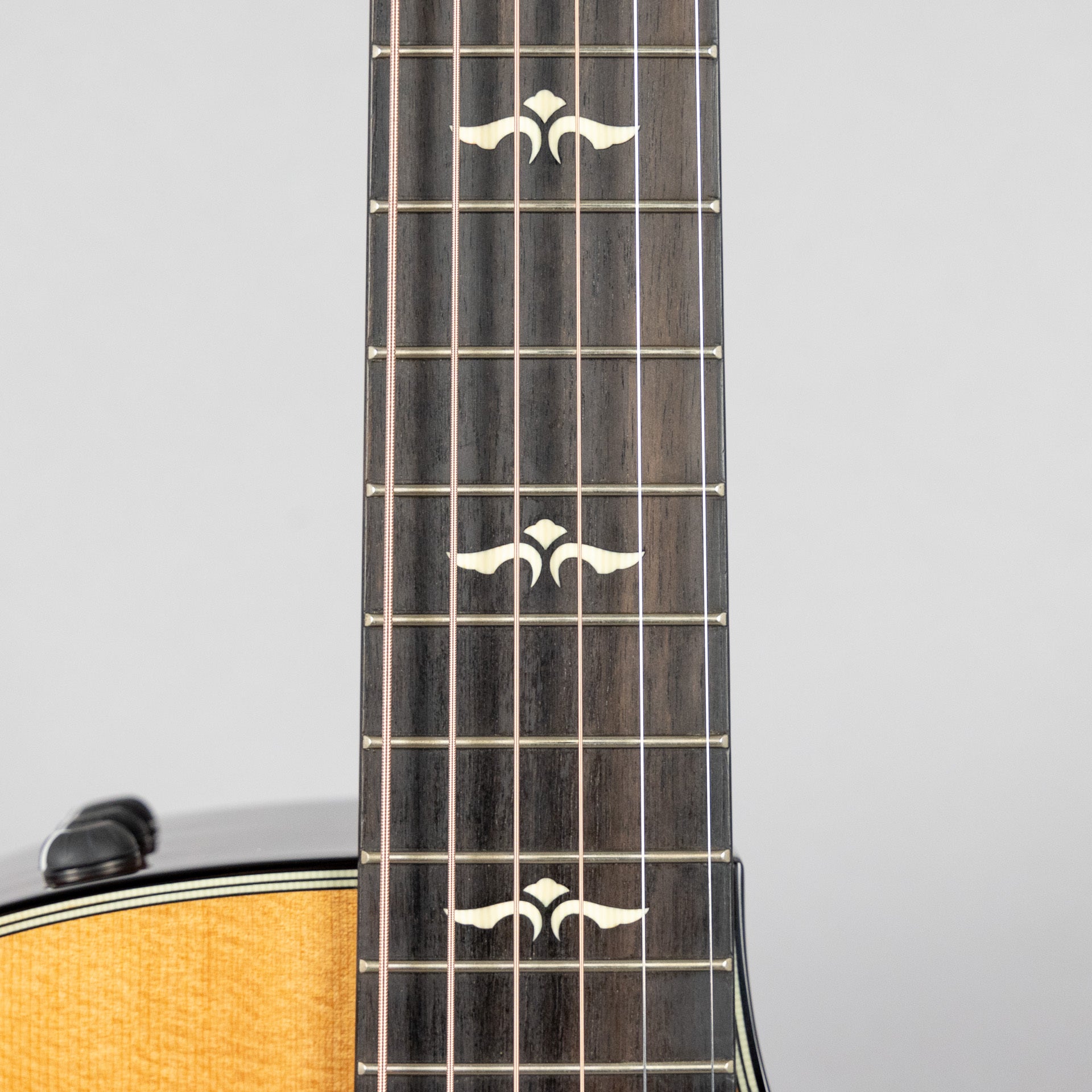 Taylor 614ce V-Class Bracing (Demo)