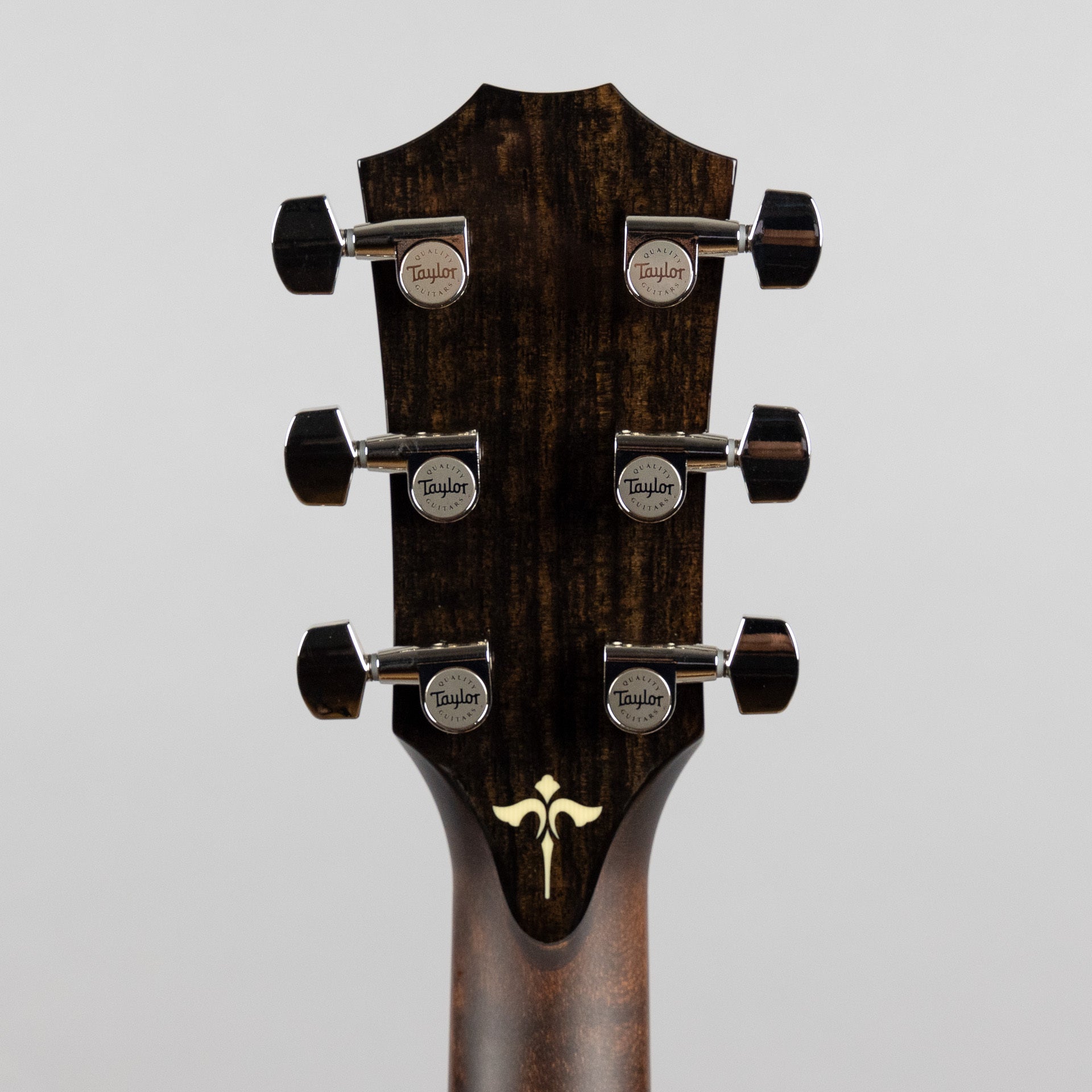 Taylor 614ce V-Class Bracing (Demo)