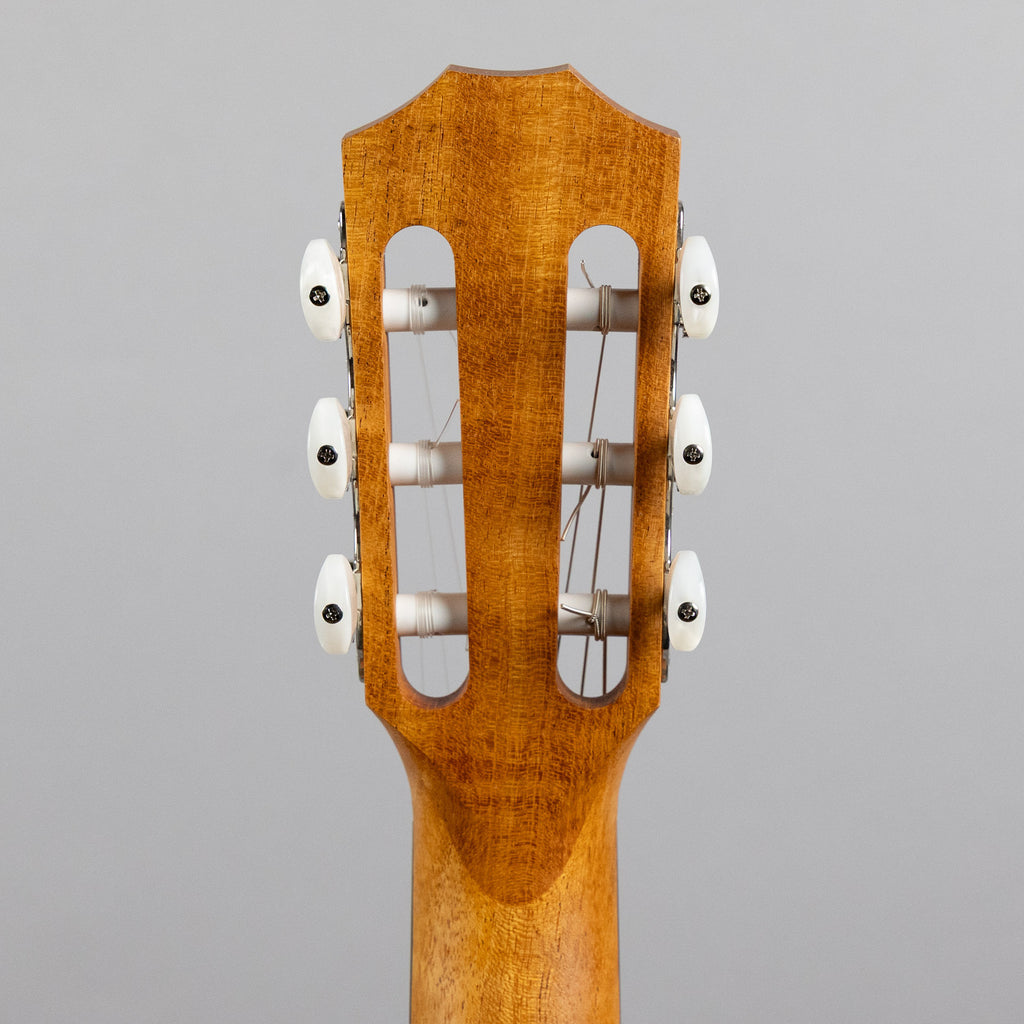 Taylor Academy 12e-N LTD Figured Koa/Sitka Spruce