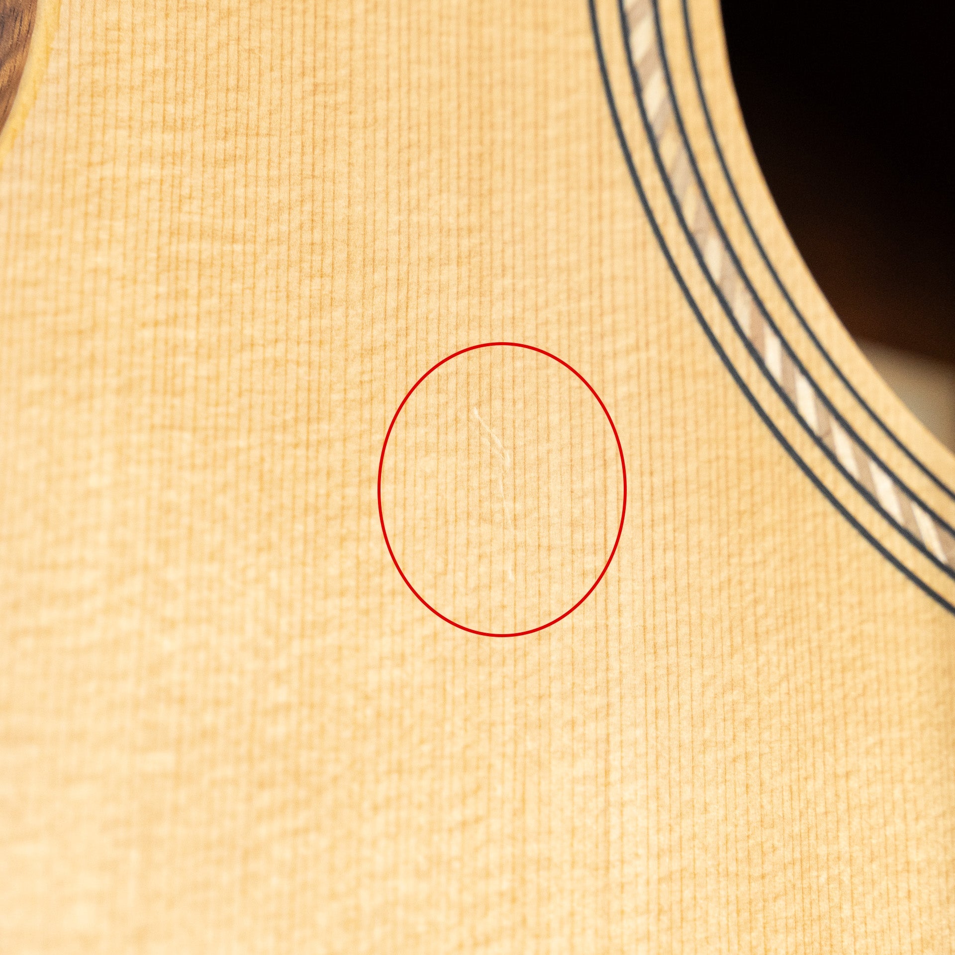 Taylor Academy 12e-N LTD Figured Koa/Sitka Spruce (Demo)