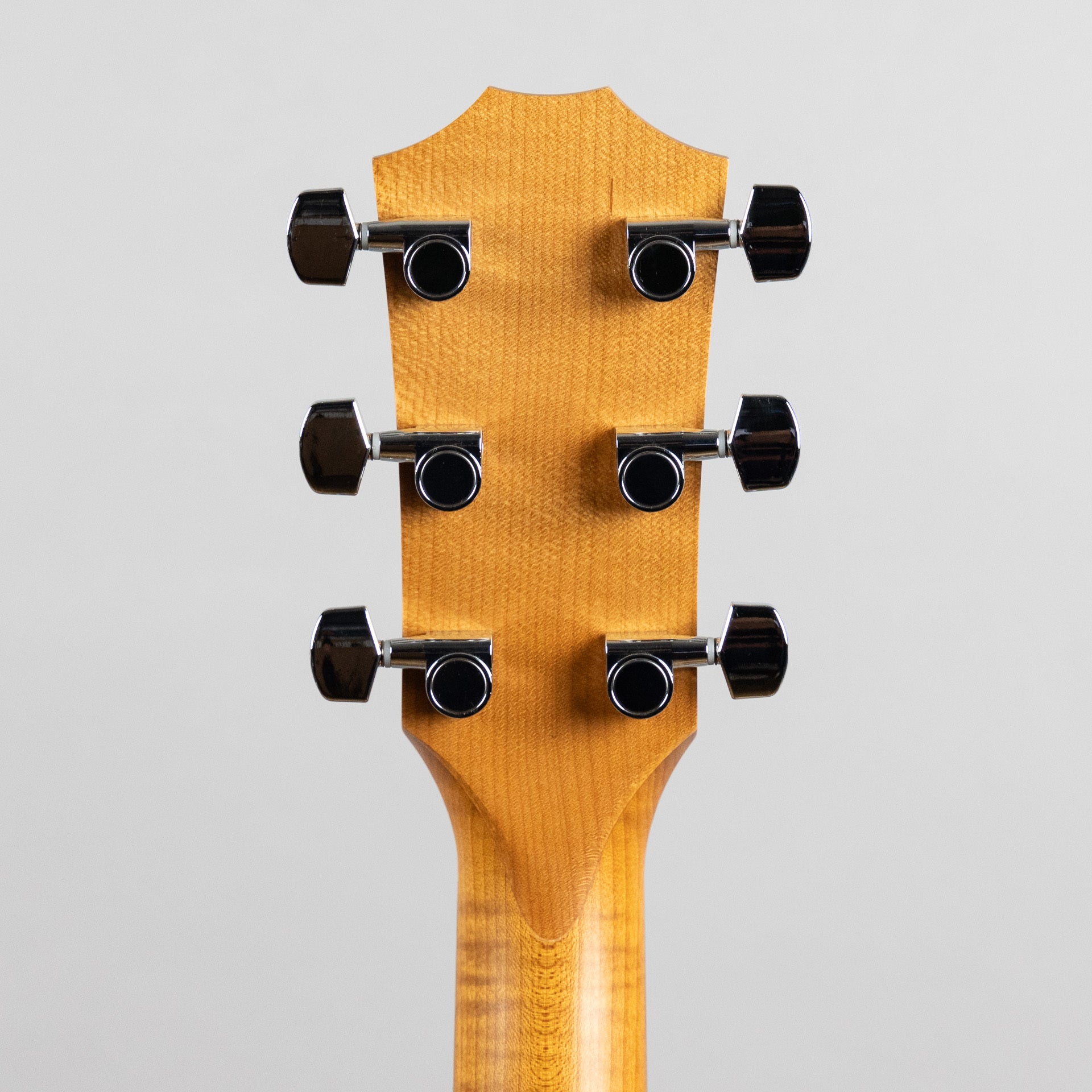 Taylor Academy A10 Acoustic Guitar