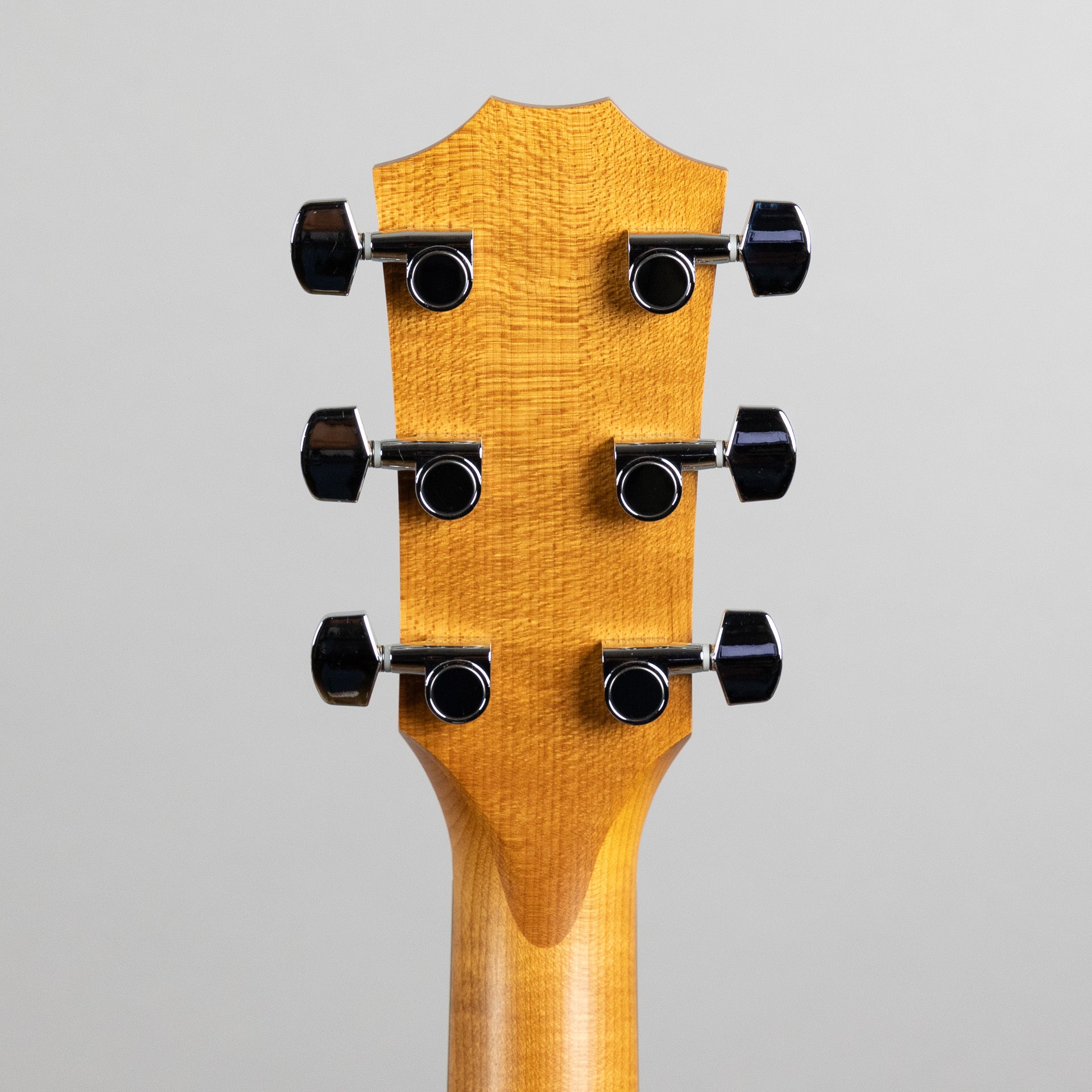 Taylor Academy A10e Acoustic Guitar