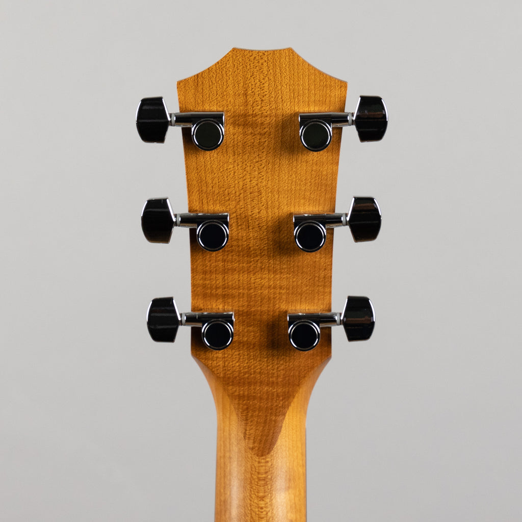 Taylor Academy A22e Acoustic Guitar