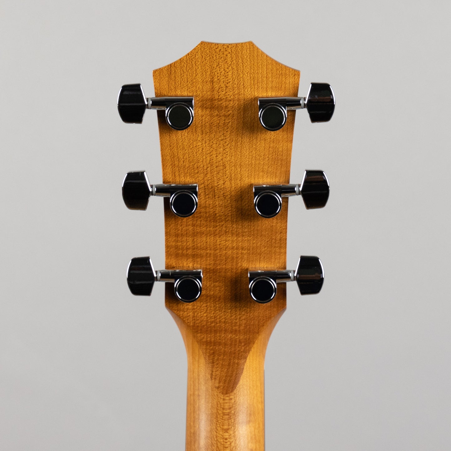 Taylor Academy A22e Acoustic Guitar