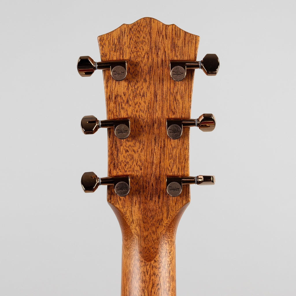 Taylor Ben Harper Gold Label 512e, Shaded Edgeburst