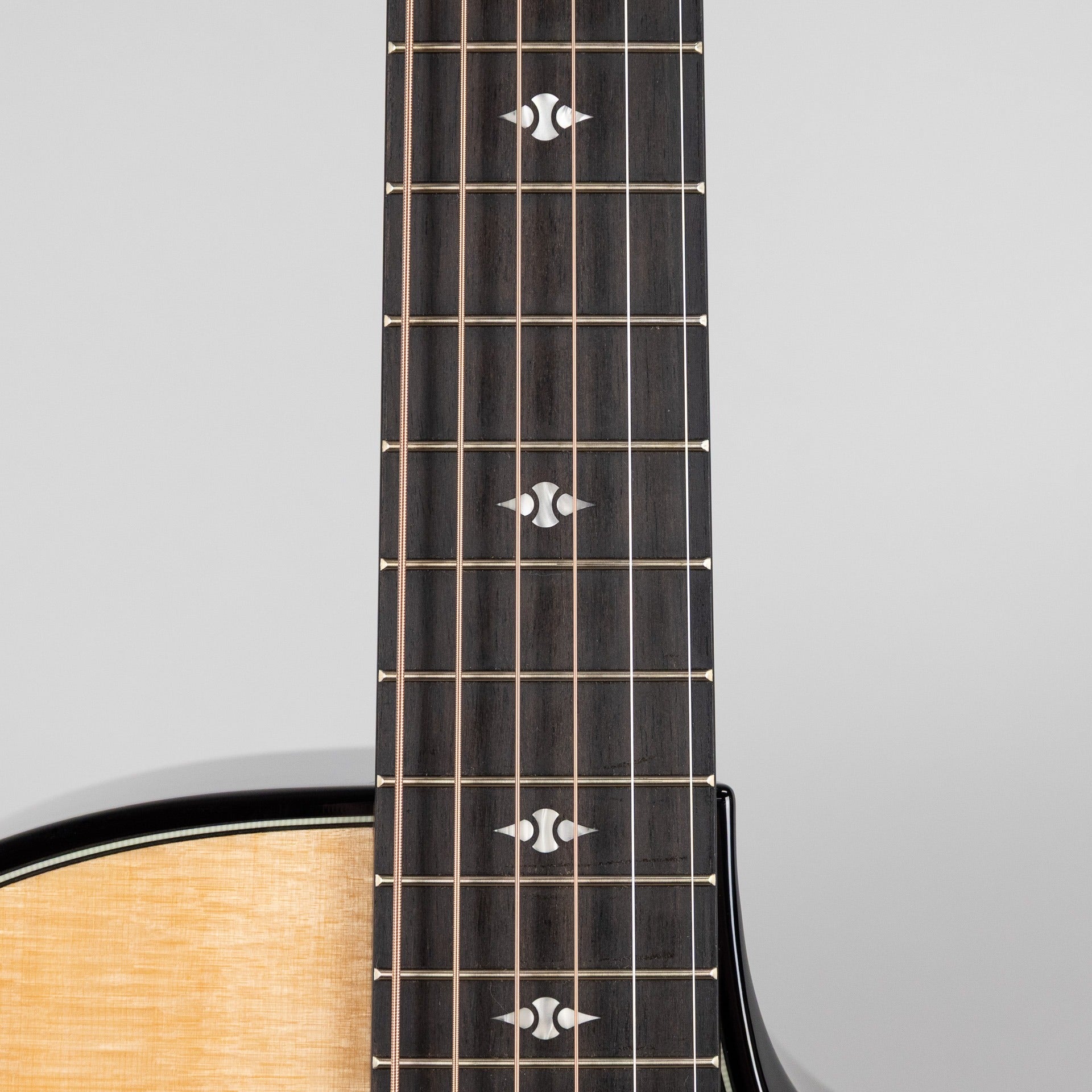 Taylor Builder's Edition 514ce, Next Generation