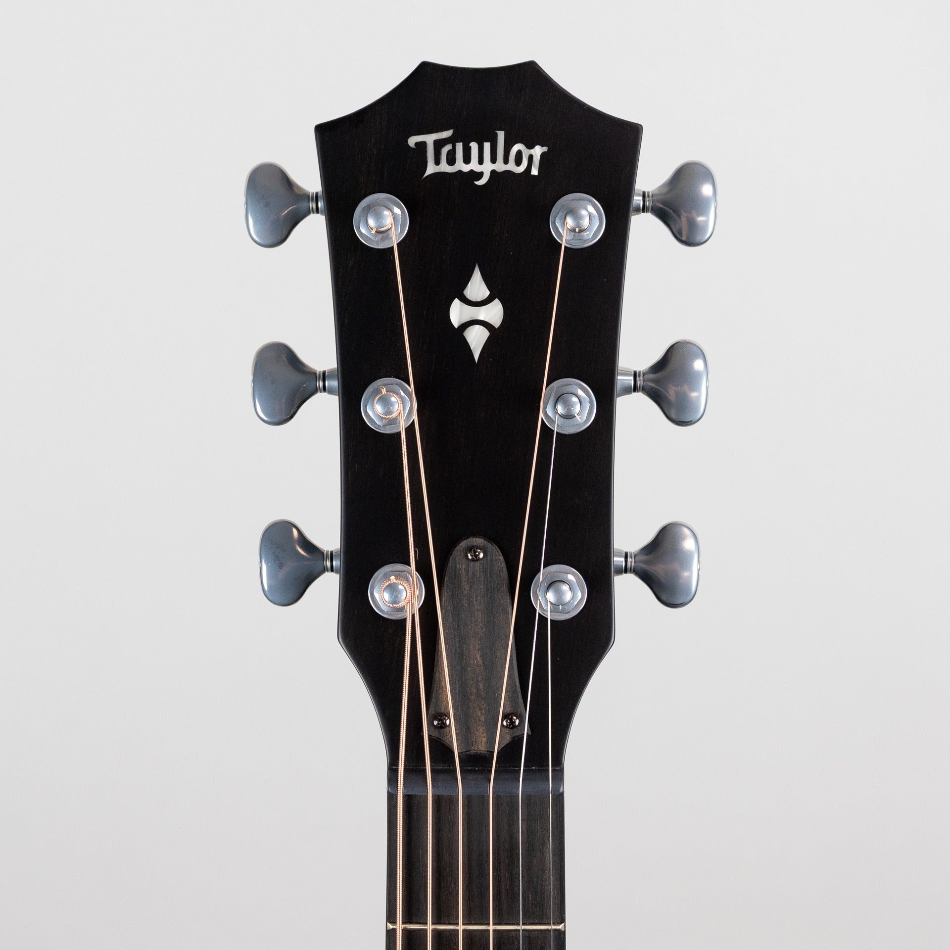 Taylor Builder's Edition 514ce, Next Generation