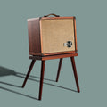 Taylor Circa74 2-in-1 Acoustic Guitar/Vocal Amplifier + Amp Stand