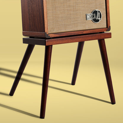 Taylor Circa74 2-in-1 Acoustic Guitar/Vocal Amplifier + Amp Stand