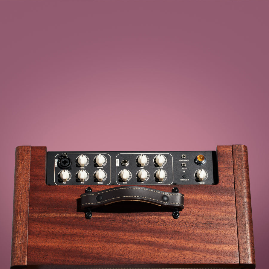 Taylor Circa74 2-in-1 Acoustic Guitar/Vocal Amplifier + Amp Stand