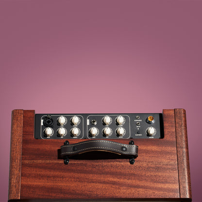 Taylor Circa74 2-in-1 Acoustic Guitar/Vocal Amplifier + Amp Stand