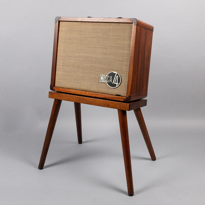 Taylor Circa74 2-in-1 Acoustic Guitar/Vocal Amplifier + Amp Stand