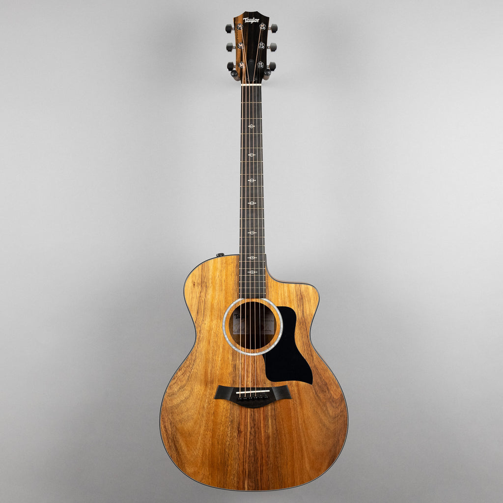 Taylor Custom 200 Series 224ce-K DLX Acoustic Guitar