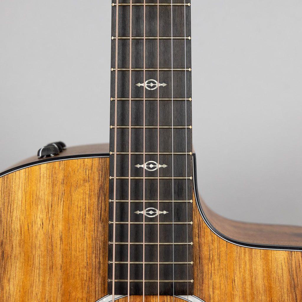 Taylor Custom 200 Series 224ce-K DLX Acoustic Guitar