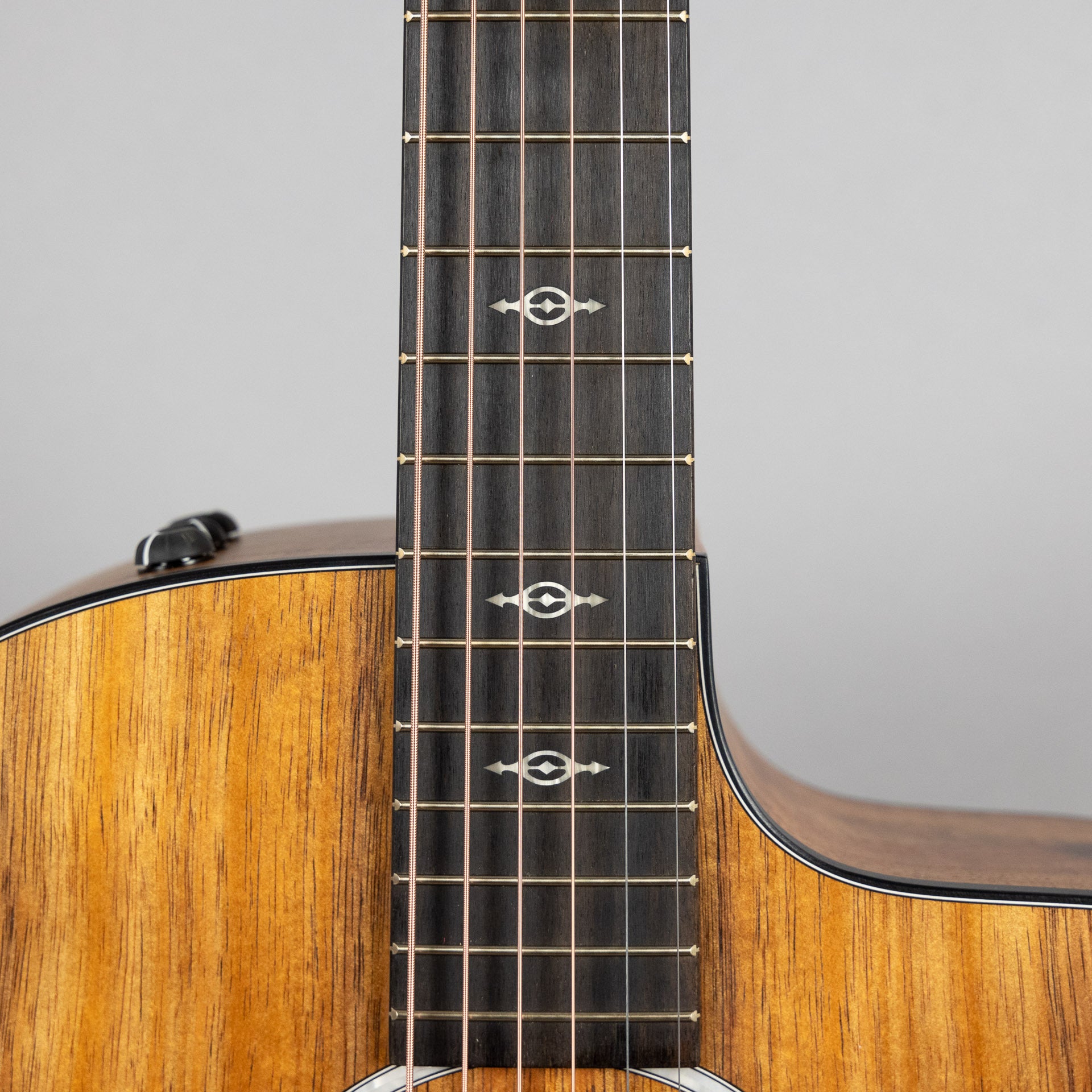 Taylor Custom 200 Series 224ce-K DLX Acoustic Guitar