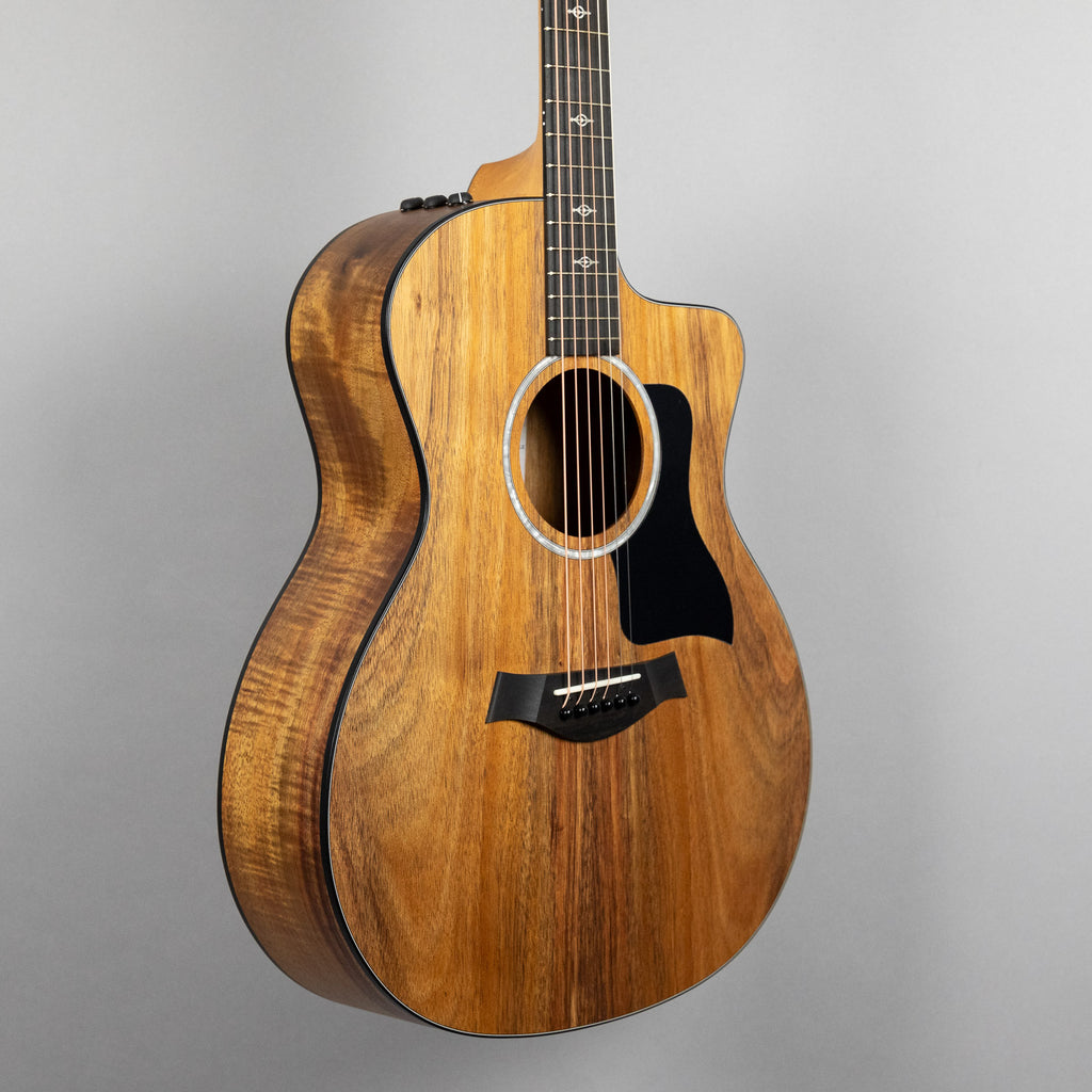 Taylor Custom 200 Series 224ce-K DLX Acoustic Guitar