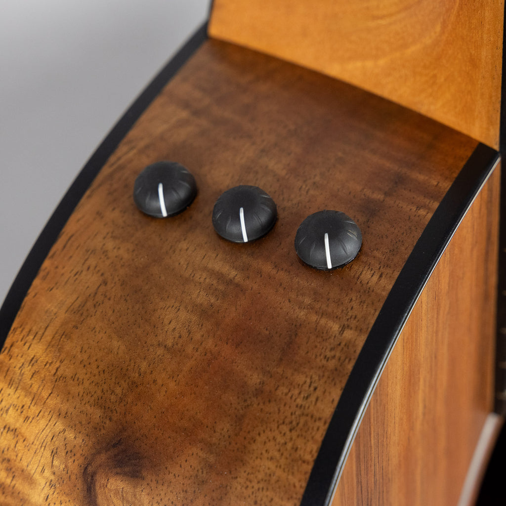 Taylor Custom 200 Series 224ce-K DLX Acoustic Guitar