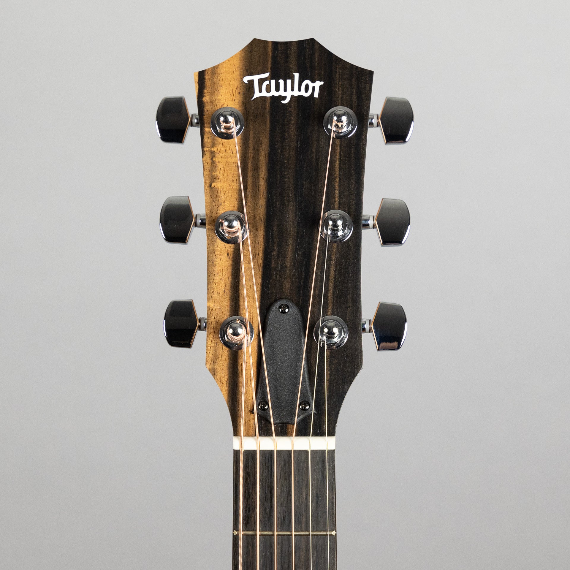 Taylor Custom 200 Series 224ce-K DLX Acoustic Guitar