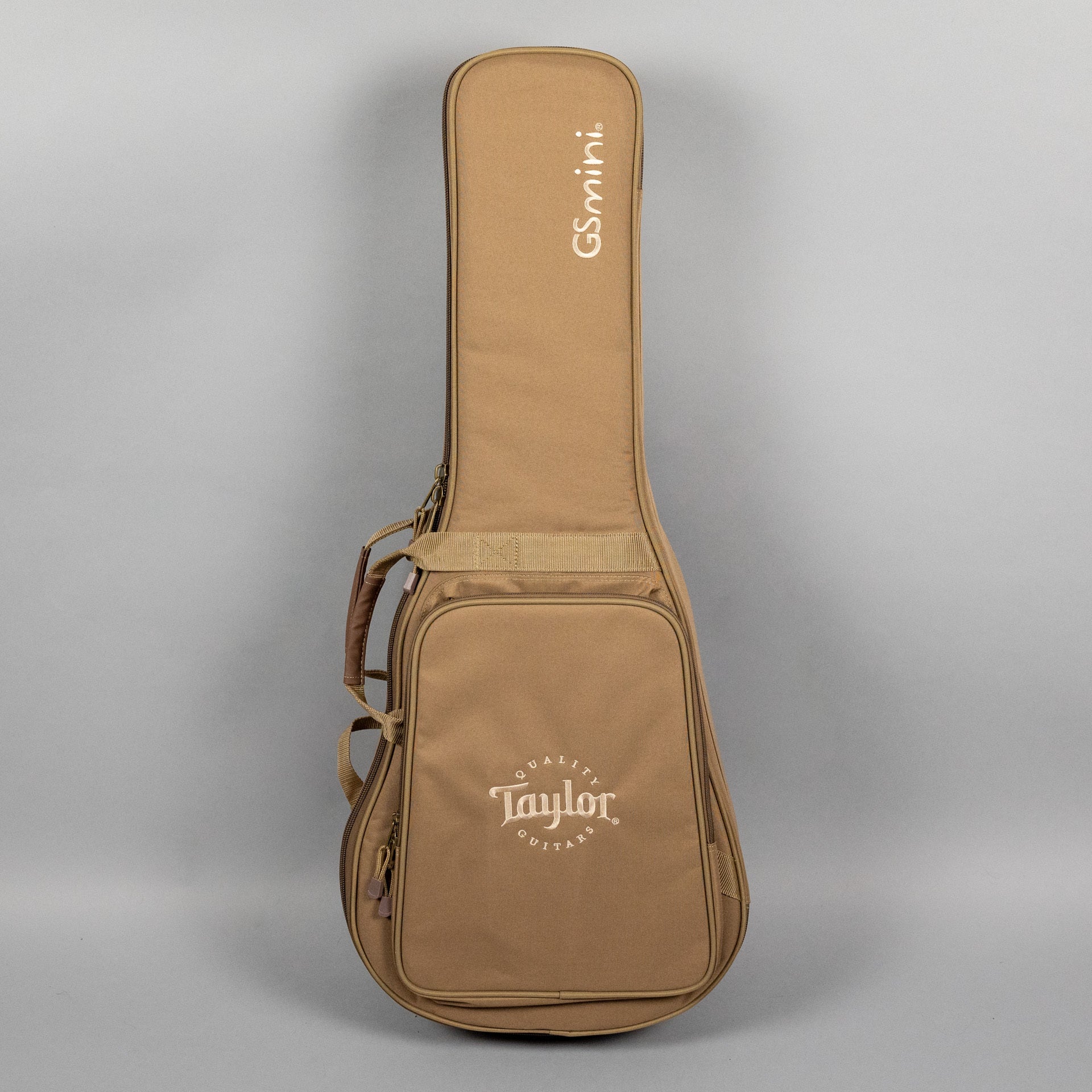 Taylor GS Mini Rosewood Acoustic Guitar