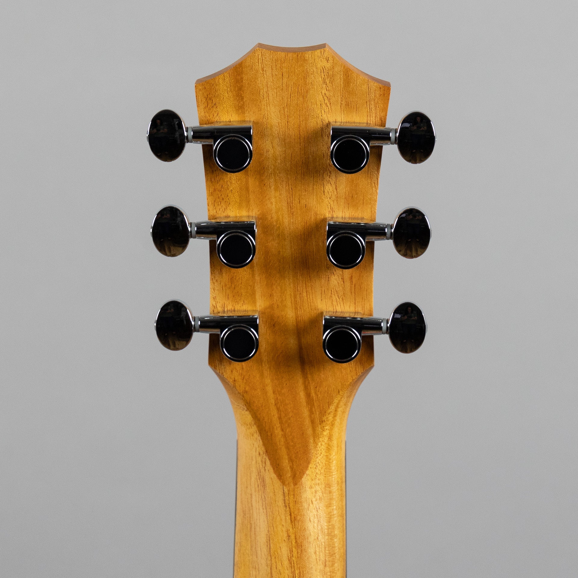 Taylor GS Mini Sapele Acoustic Guitar