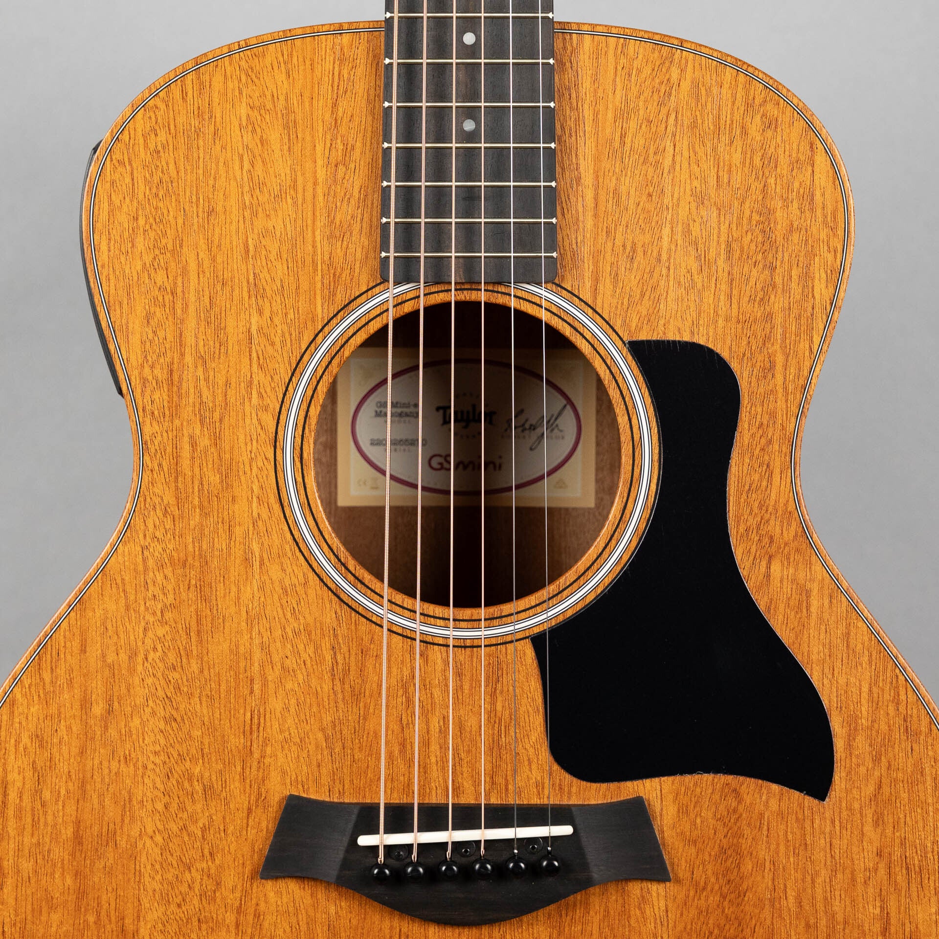 Taylor GS Mini-e Mahogany – Carlton Music Center