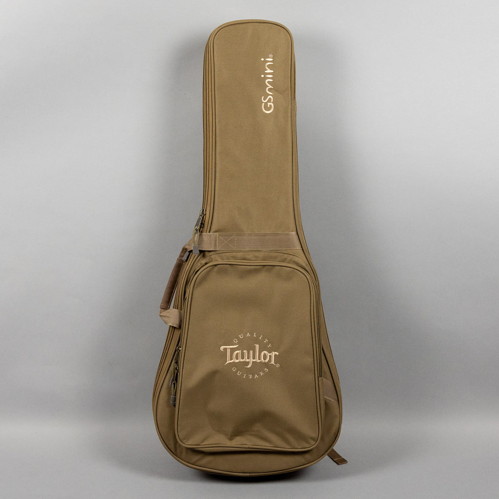 Taylor GS Mini-e Rosewood SB