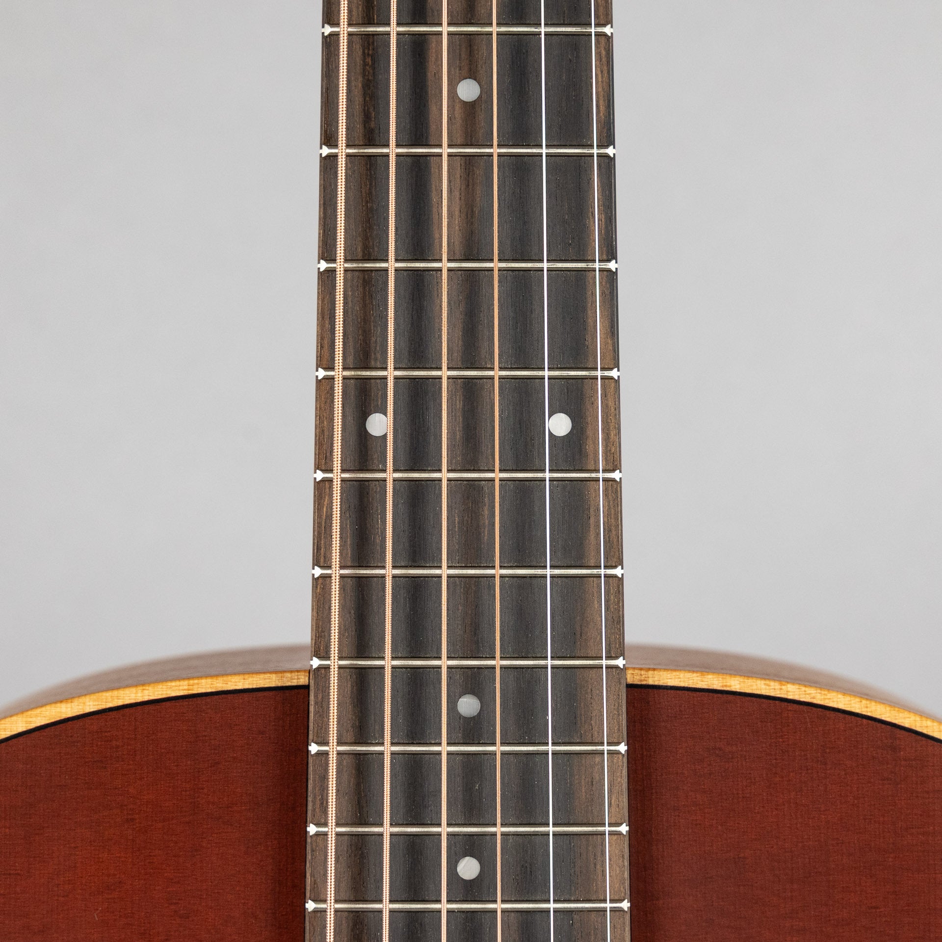 Taylor GS Mini-e Special Edition Honeyburst