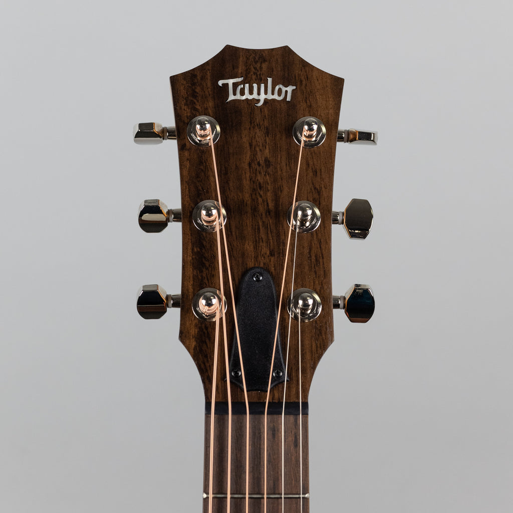 Taylor GT Urban Ash Acoustic Guitar