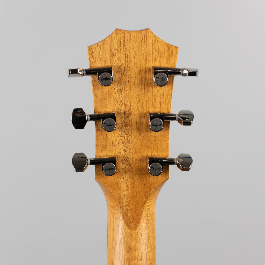 Taylor GT Urban Ash Acoustic Guitar