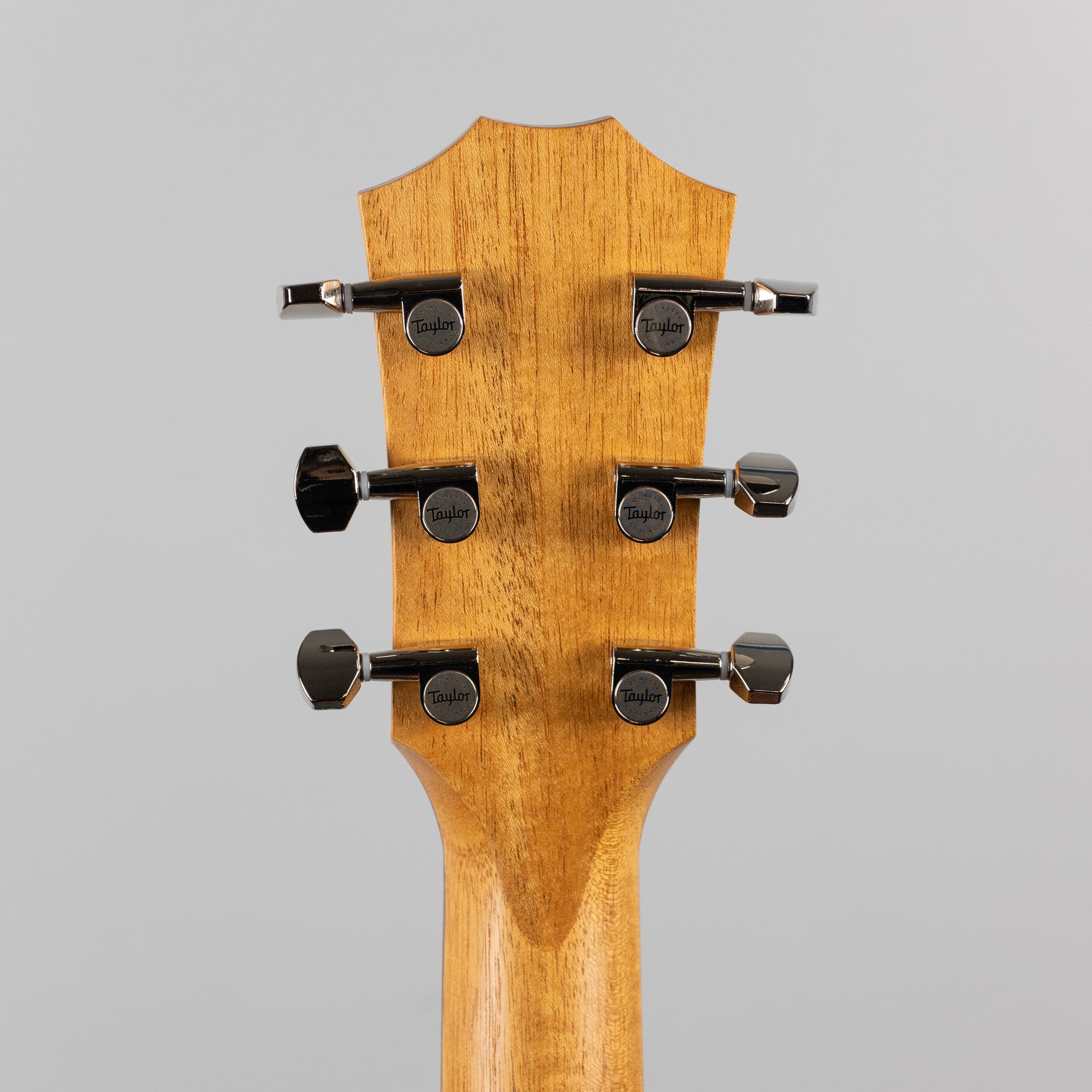 Taylor GT Urban Ash Acoustic Guitar