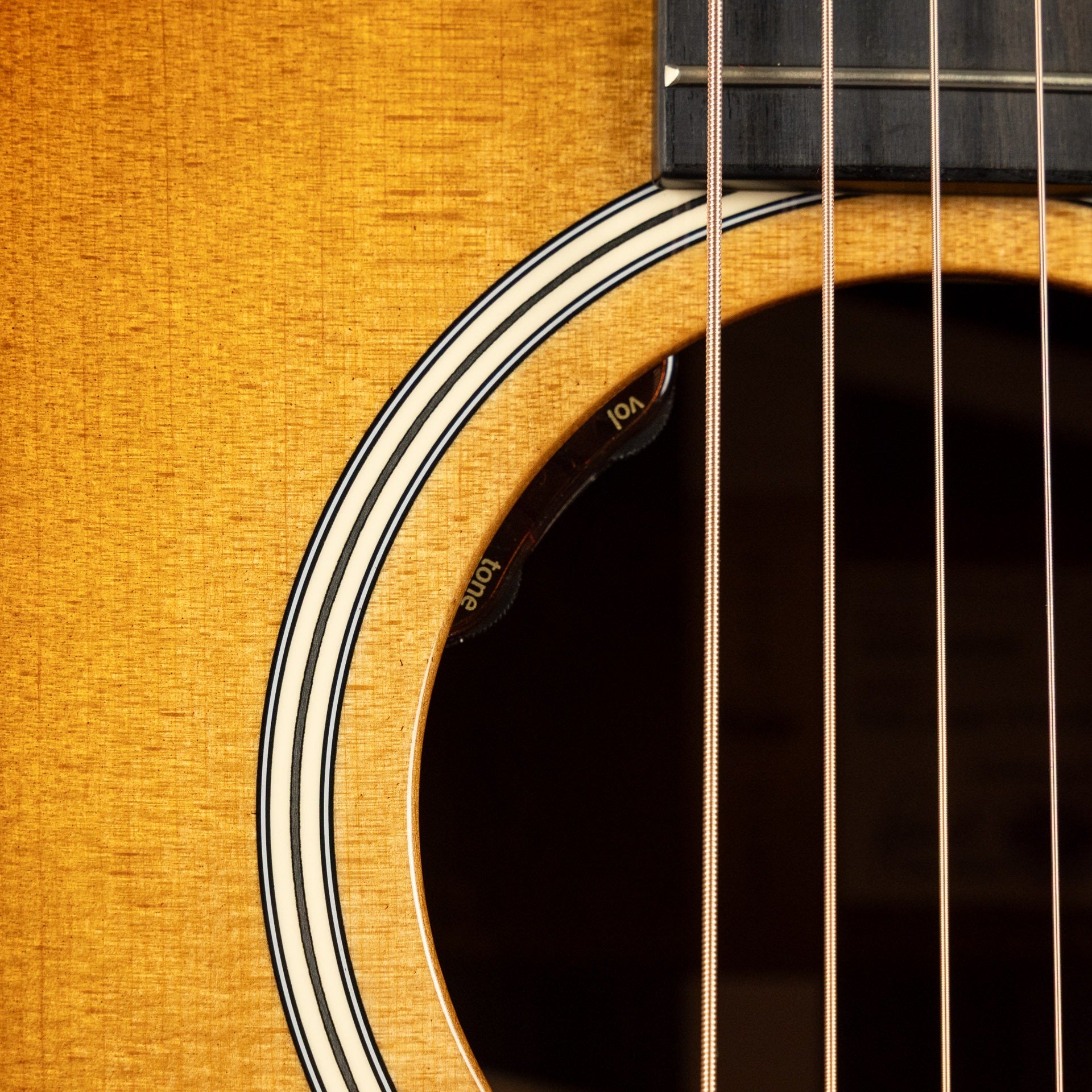 Taylor Gold Label 717e, Sunburst