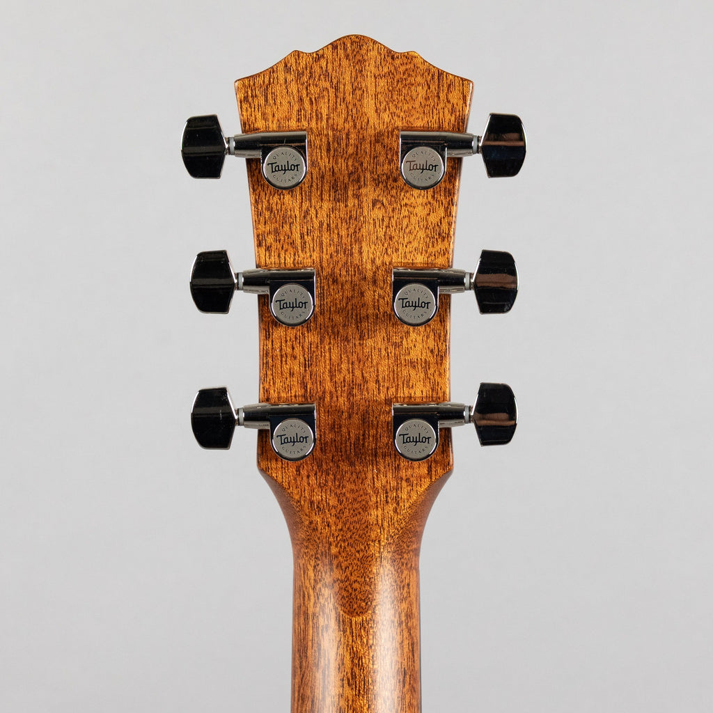 Taylor Gold Label 717e, Sunburst