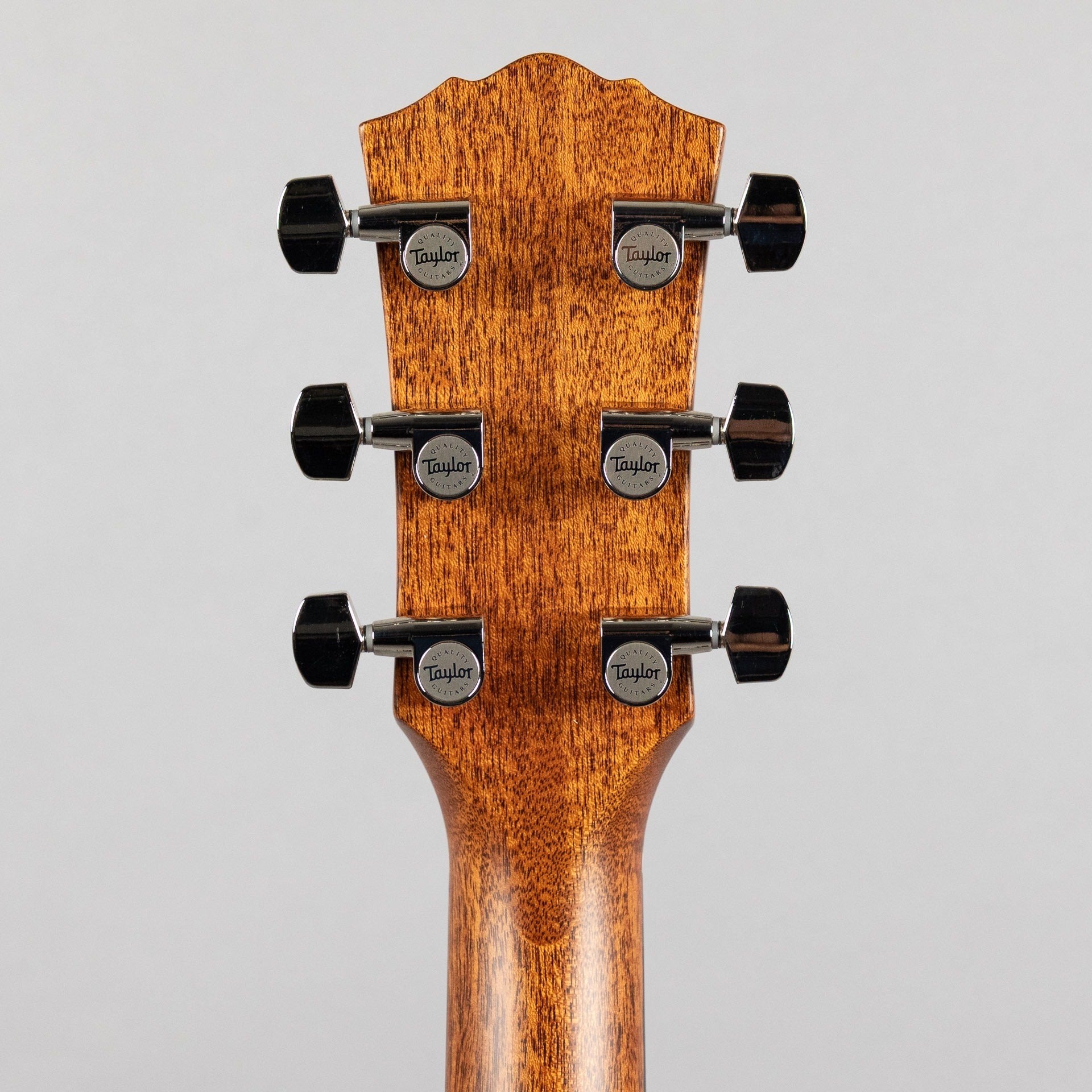 Taylor Gold Label 717e, Sunburst
