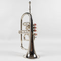 Used Entry-Level Flugelhorn w/Case (No Brand Name)