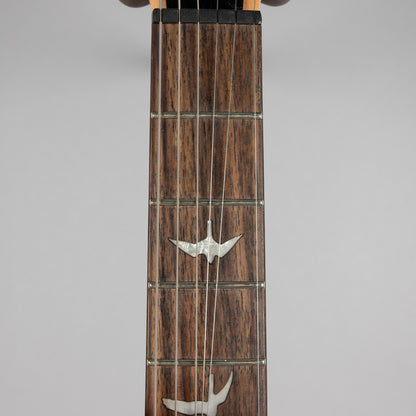 Used Paul Reed Smith SE Custom 24-08 in Eriza Verde w/Gig Bag