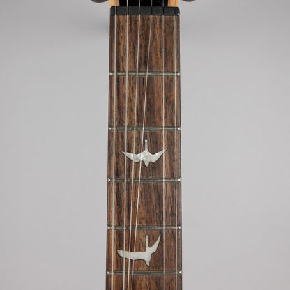 Used Paul Reed Smith SE Custom 24-08 in Eriza Verde w/Gig Bag