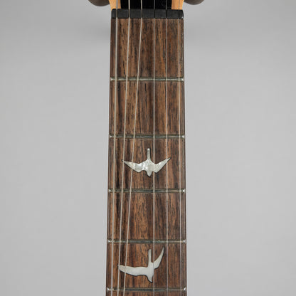 Used Paul Reed Smith SE Custom 24-08 in Eriza Verde w/Gig Bag