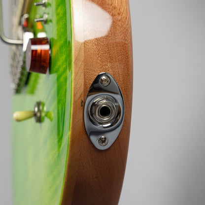 Used Paul Reed Smith SE Custom 24-08 in Eriza Verde w/Gig Bag