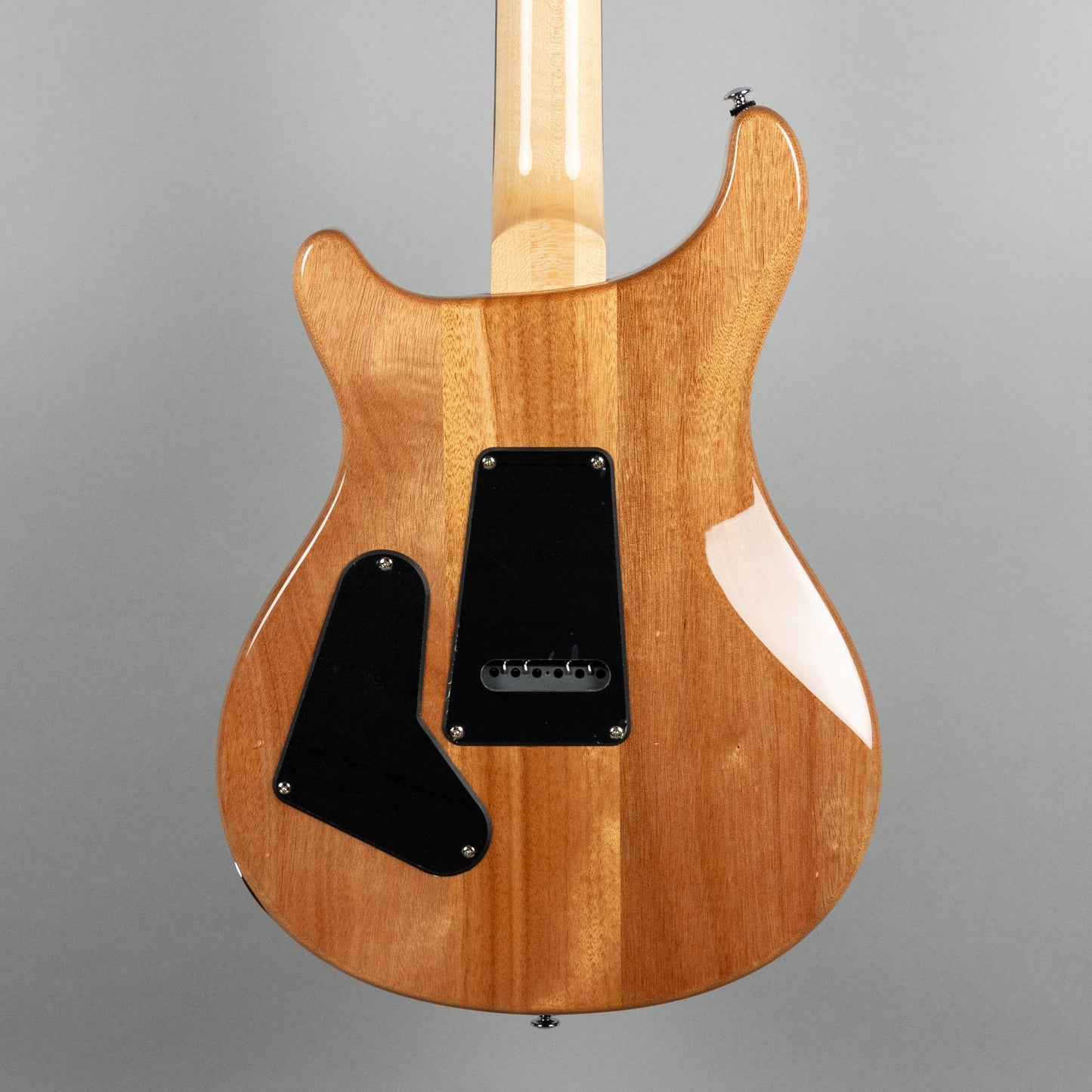 Used Paul Reed Smith SE Custom 24-08 in Eriza Verde w/Gig Bag