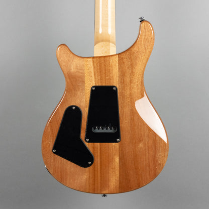 Used Paul Reed Smith SE Custom 24-08 in Eriza Verde w/Gig Bag