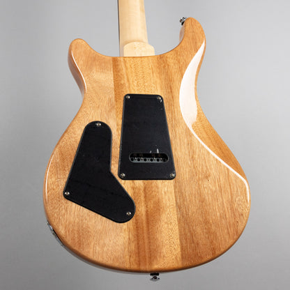 Used Paul Reed Smith SE Custom 24-08 in Eriza Verde w/Gig Bag