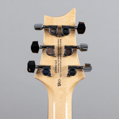 Used Paul Reed Smith SE Custom 24-08 in Eriza Verde w/Gig Bag