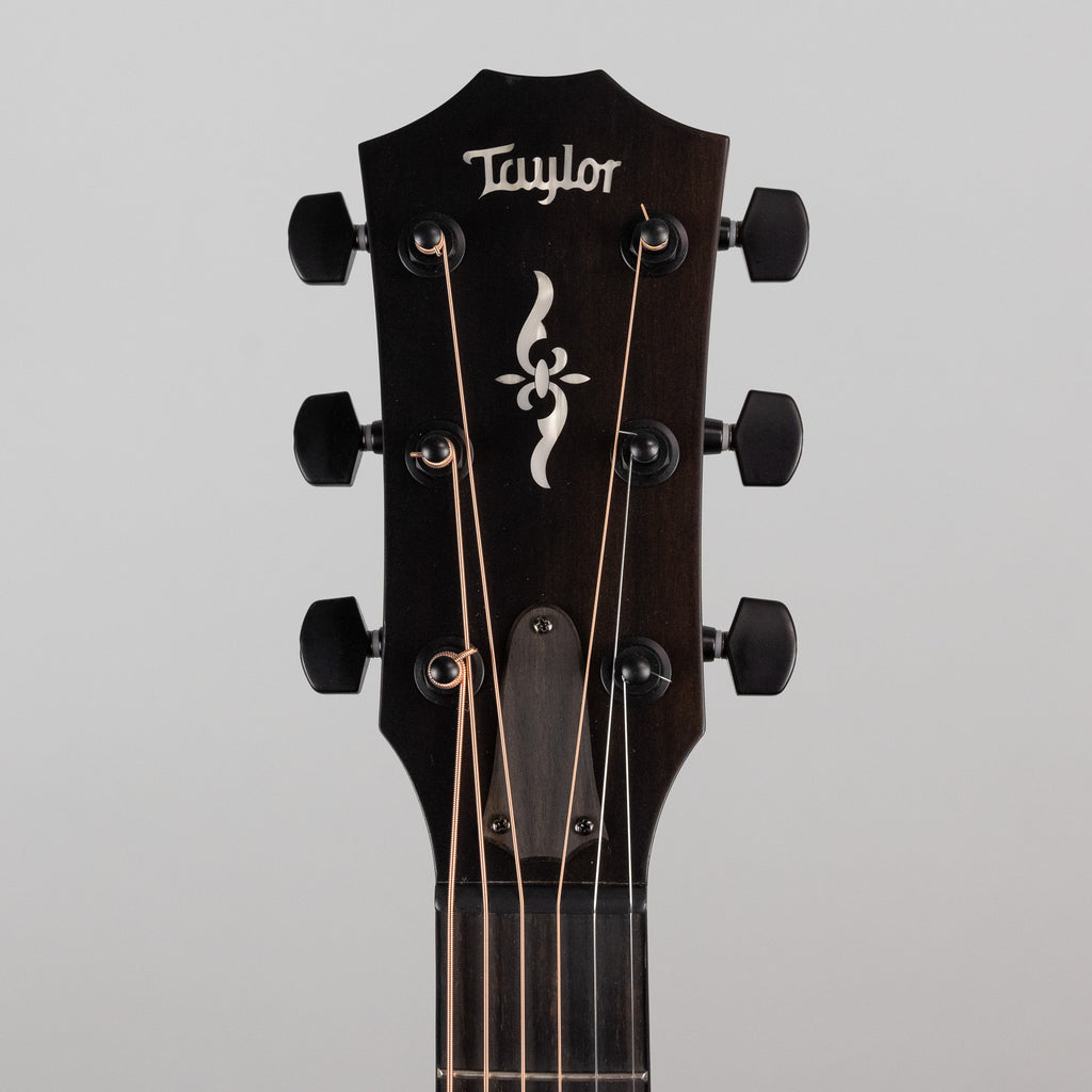 Used Taylor Urban Ash 424ce LTD, Natural