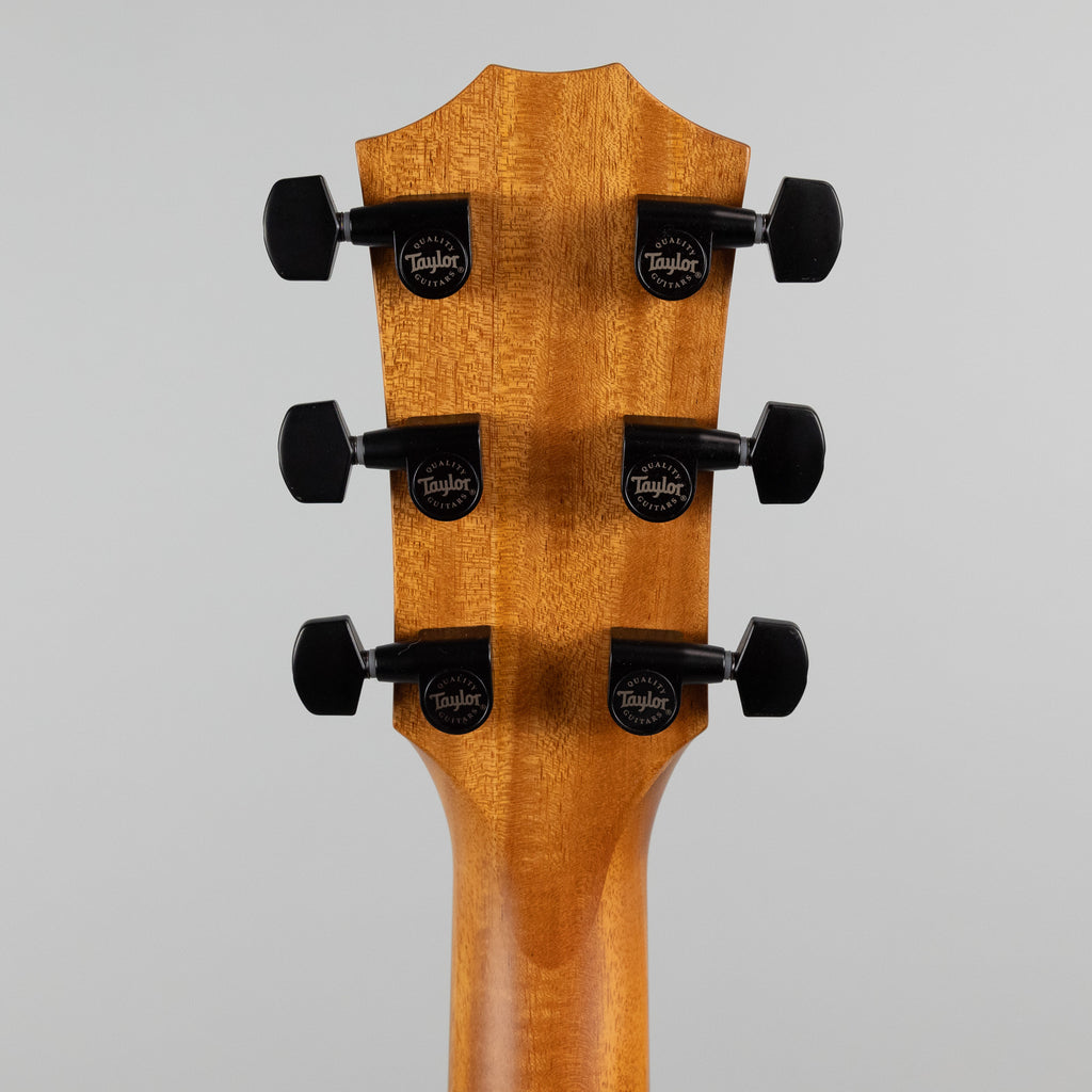 Used Taylor Urban Ash 424ce LTD, Natural