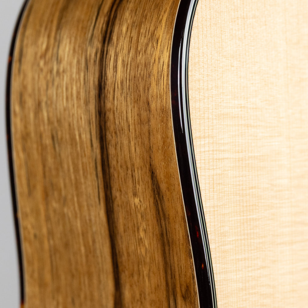 Yellow D-SXa Brown Ebony, Back Stage Exotic Tonewood Series Dreadnaught with Hard Case