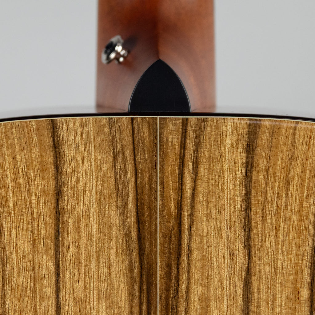 Yellow D-SXa Brown Ebony, Back Stage Exotic Tonewood Series Dreadnaught with Hard Case