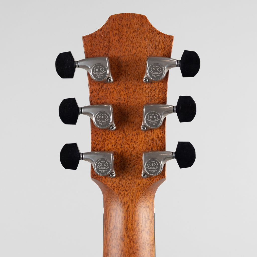 Yellow D-SXa Brown Ebony, Back Stage Exotic Tonewood Series Dreadnaught with Hard Case