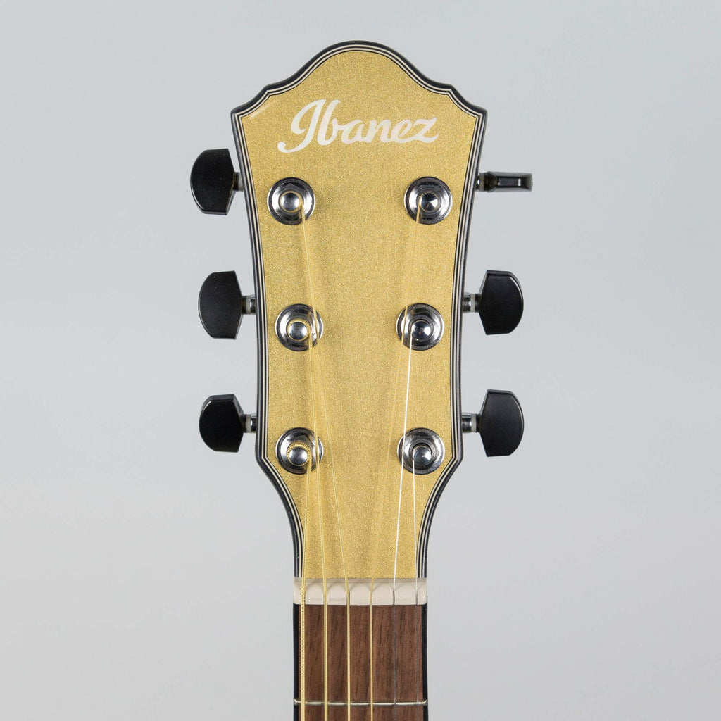 Ibanez AEWC10-DGM Acoustic Guitar in Dark Gold Metallic High Gloss